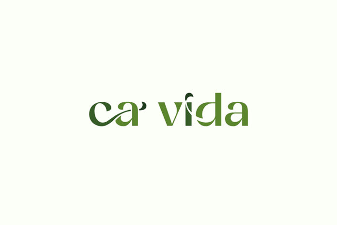 logo cantina malvicini ca vida logo cantina malvicini ca vida