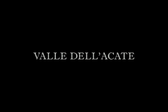 logo cantina valle dell'acate logo cantina valle dell'acate
