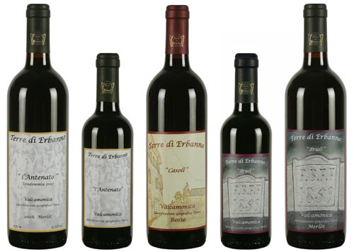Vini Terre di Erbanno