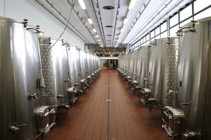 cantina monte delle vigne cantina monte delle vigne