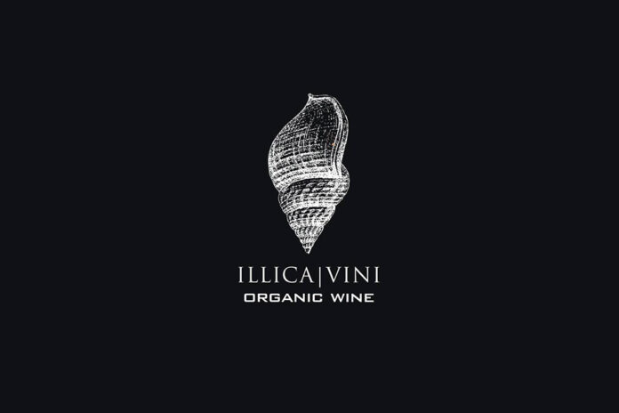 logo cantina illica logo cantina illica