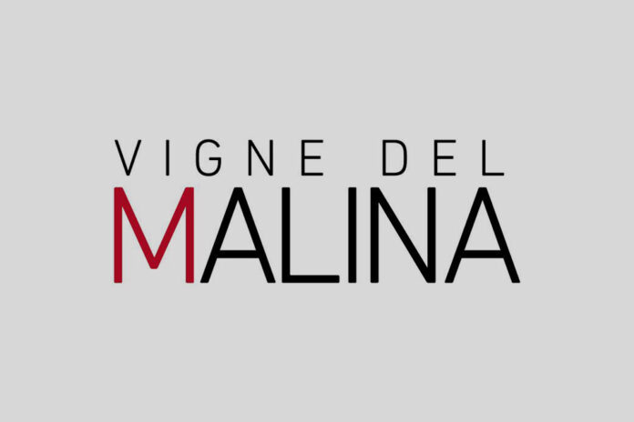 logo cantina vigne del malina logo cantina vigne del malina