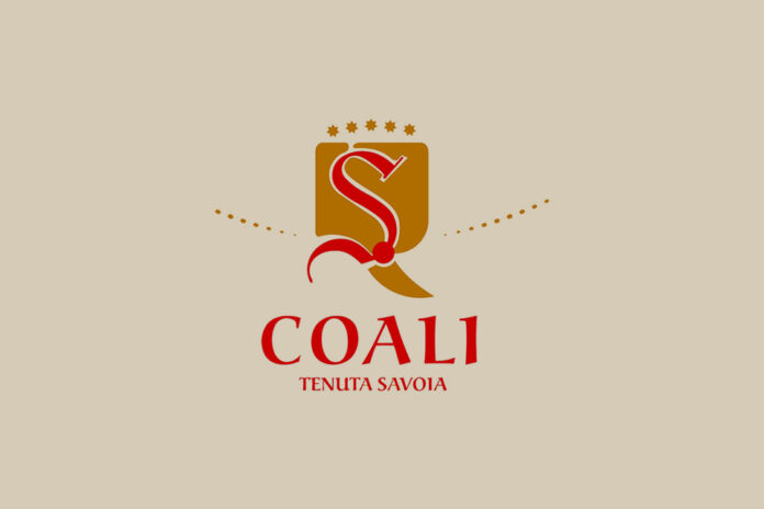 logo cantina coali logo cantina coali