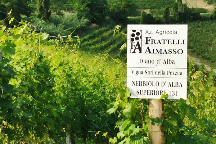 vigneti cantina fratelli aimasso vigneti cantina fratelli aimasso
