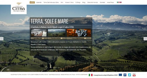 Responsive Web Design Citra Vini