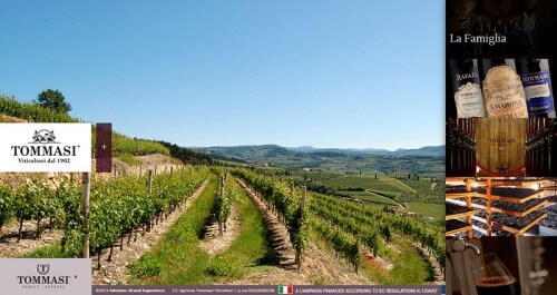 Responsive Web Design Tommasi Wine