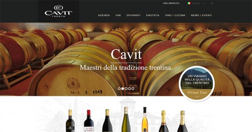 Sito web Cavit