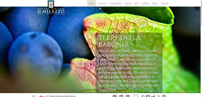 Homepage sito web Milazzo Vini