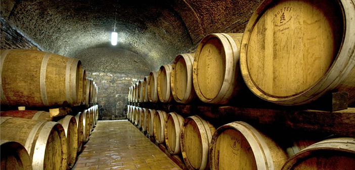 I vini di Castello di Torre in Pietra al Millésime Bio di Montpellier