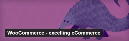 WooCommerce - excelling eCommerce