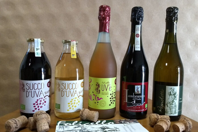 prodotti cantina folicello prodotti cantina folicello