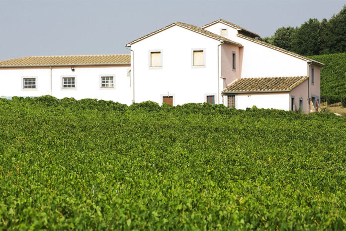 cantina ciucci cantina ciucci