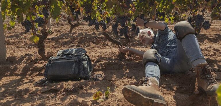 Signori del Vino: Marco Simonit ancora “inviato nelle vigne”