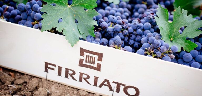 Vendemmia Firriato