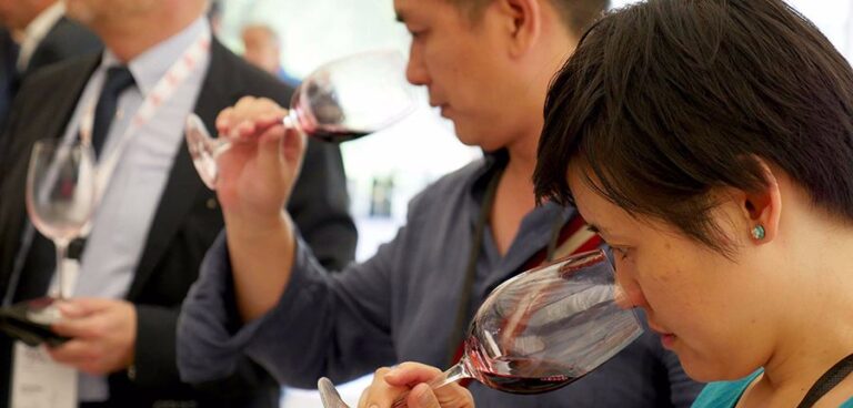 Degustazione Radici del Sud