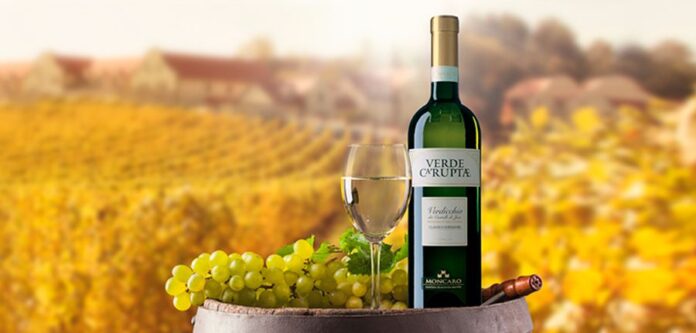 Verde Ca' Ruptae Verdicchio dei Castelli di Jesi DOC Classico Superiore