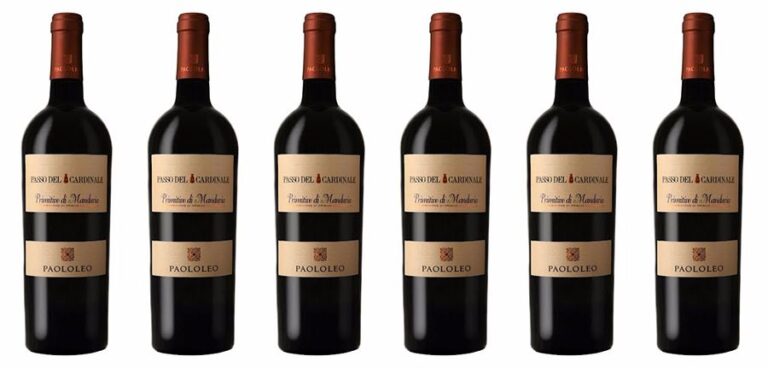 Primitivo di Manduria Passo del Cardinale Cantine Paolo Leo