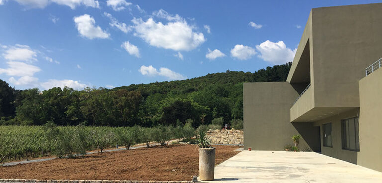 A Riparbella tre giorni di eventi dedicati al vino