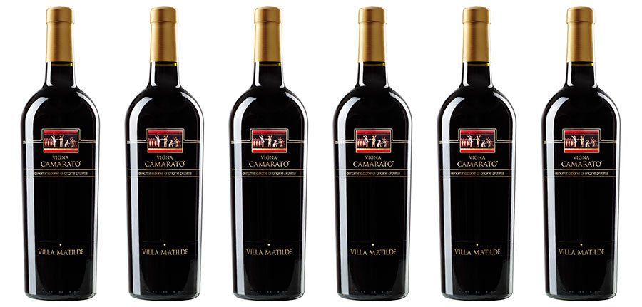 Falerno Del Massico Rosso Vigna Camarato Riserva 2011