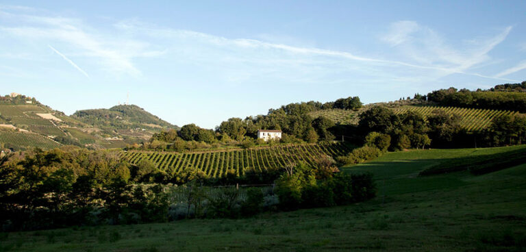Per la Cantina Bissoni di Bertinoro un 2016 da ricordare