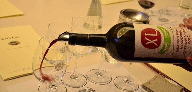 Maculan: un vino per festeggiare 40 vendemmie