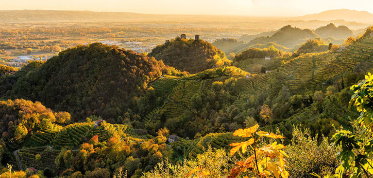 Bortolomiol panorama colline