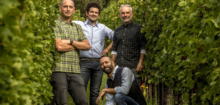 Quando è l’uva a raccontare l’annata