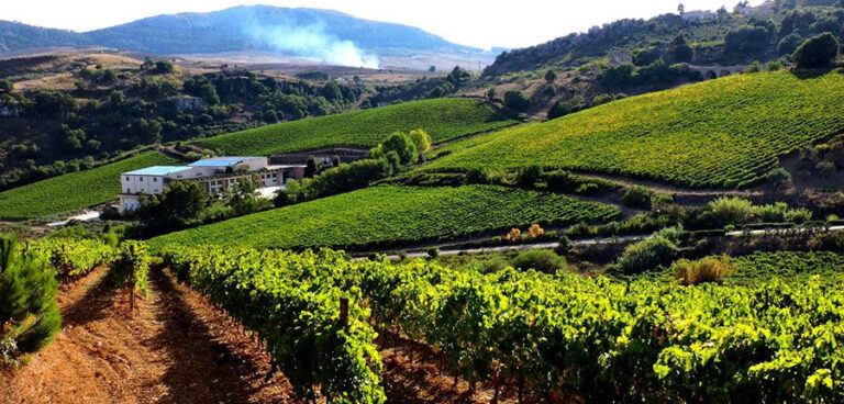 Cantine Aperte a Baglio di Pianetto