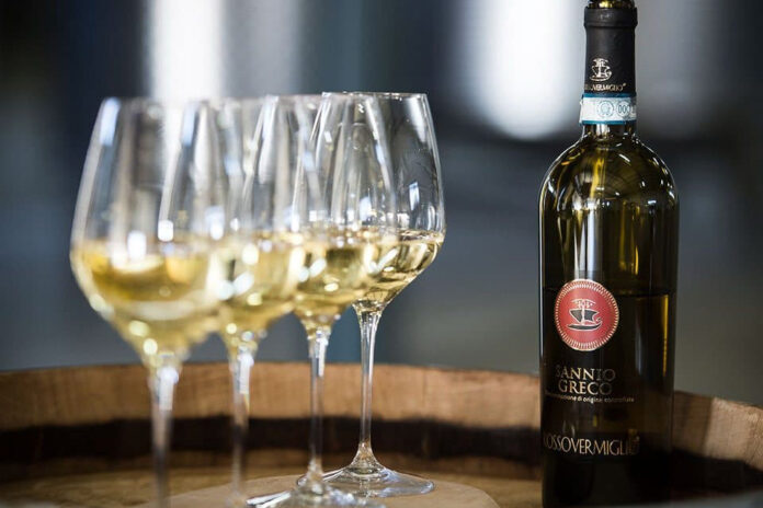 vini cantina rossovermiglio vini cantina rossovermiglio