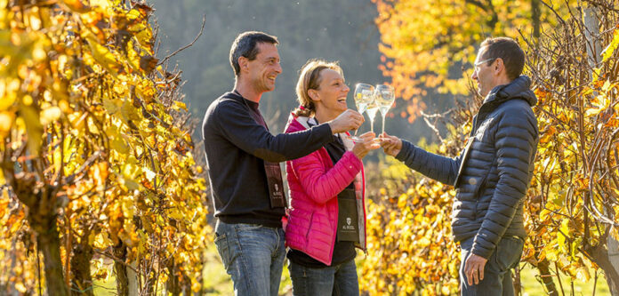 Al Rocol Wine trekking con Cuvée