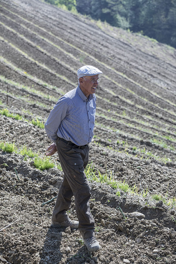 Josko Gravner a Dedno