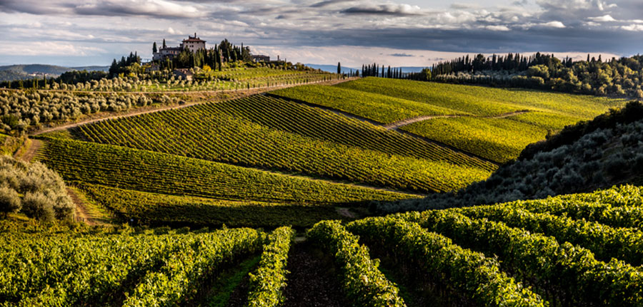 Tenuta San Donato in Perano