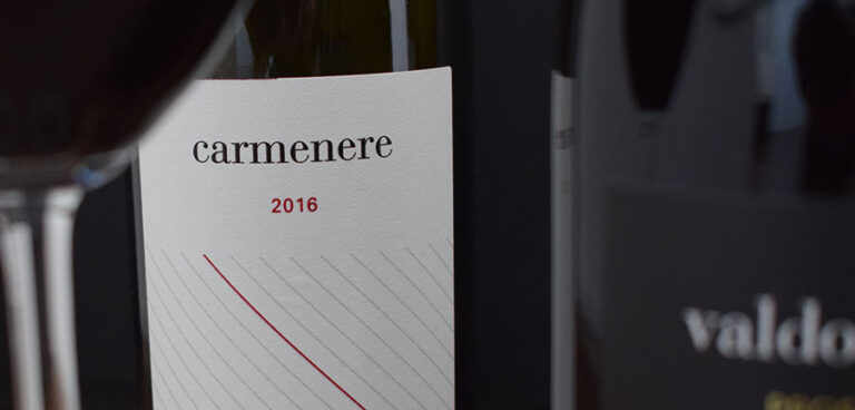 Una piacevole sorpresa, i vini Vigna Dogarina