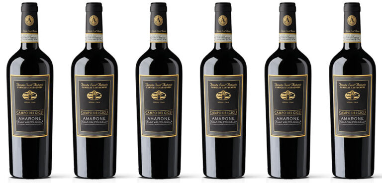 Bibenda conferma i 5 grappoli all’Amarone Campo dei Gigli di Tenuta Sant’Antonio