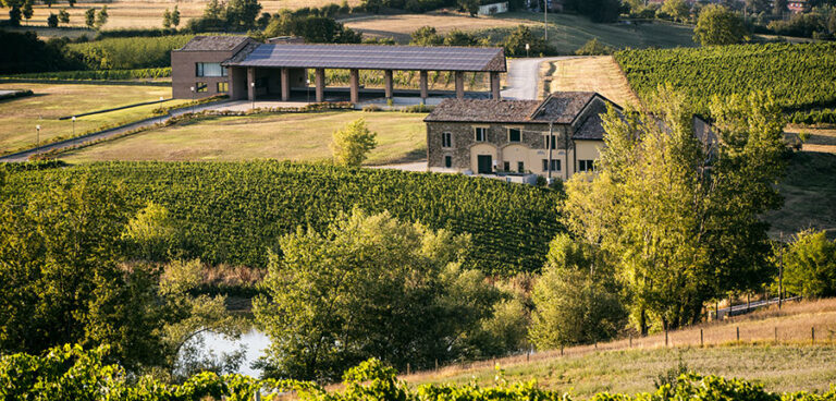 Monte delle Vigne