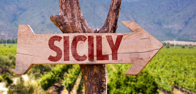 Winery Tasting Sicily