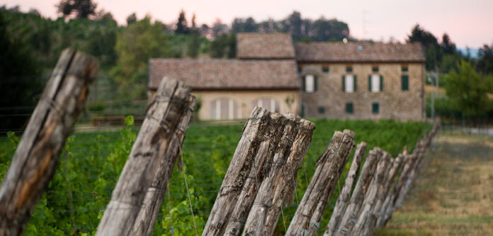 Monte delle Vigne