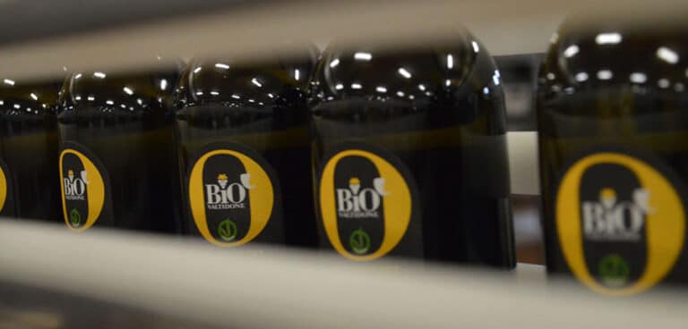Bio’ Valtidone: presentata la prima linea biologica e vegana di Cantina Valtidone
