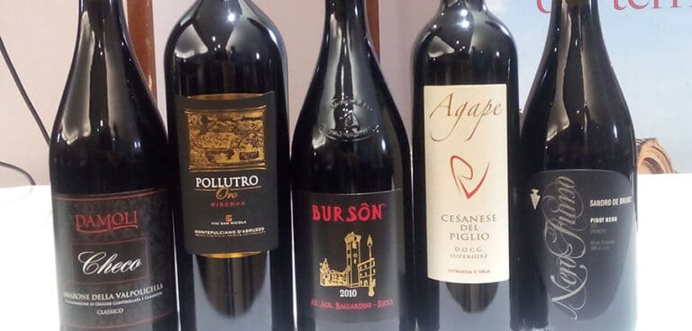 Amarone, Montepulciano d’Abruzzo, Bursôn