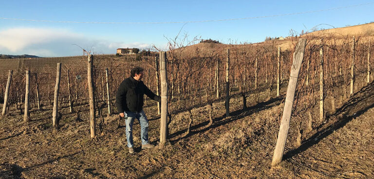 Alessandro Rivetto tra i vigneti di Montersino