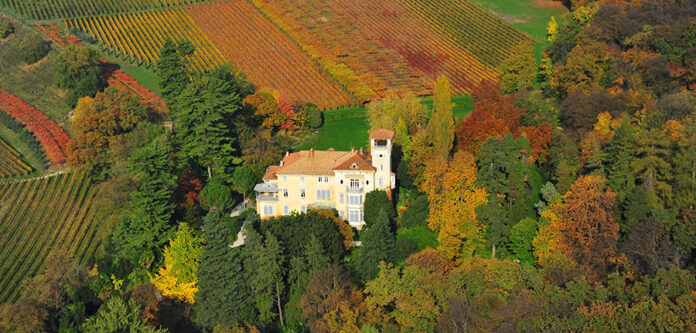 Veduta aerea Tenuta San Leonardo