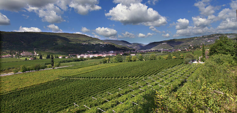 Cantina Valpantena: un premio per unire poesia e viticoltura