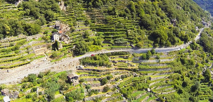 Vigneti Valle d'Aosta