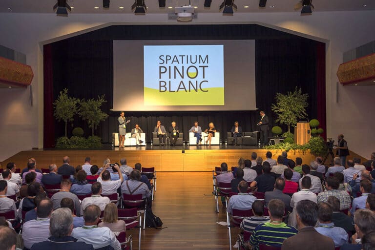 Presentazione Spatium Pinot Blanc