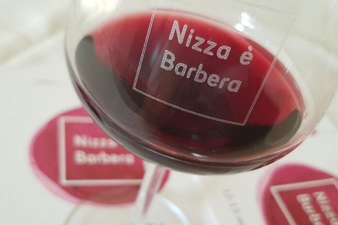 Vino Barbera
