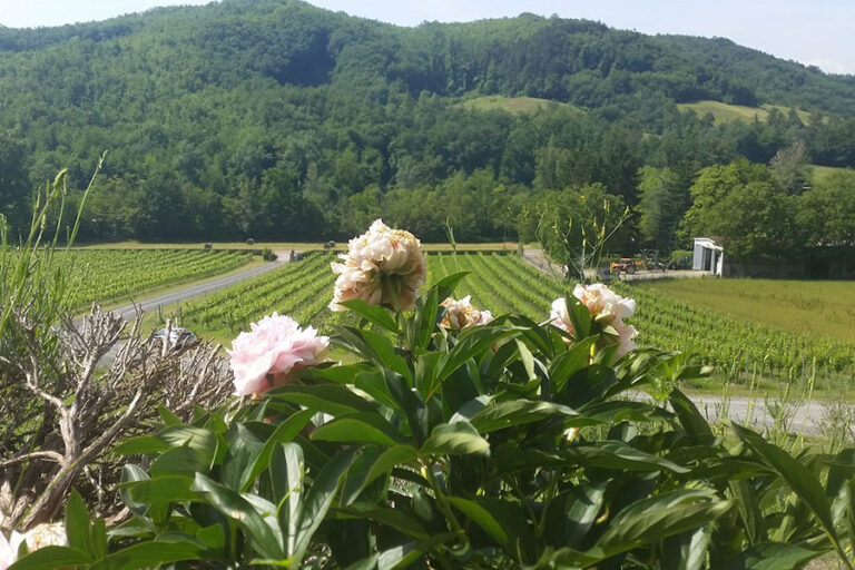 Cantine Aperte 2018, vitigni antichi e abbinamenti a km zero a Vigna Cunial