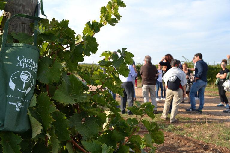 Cantine Aperte 2018 in Puglia raddoppia