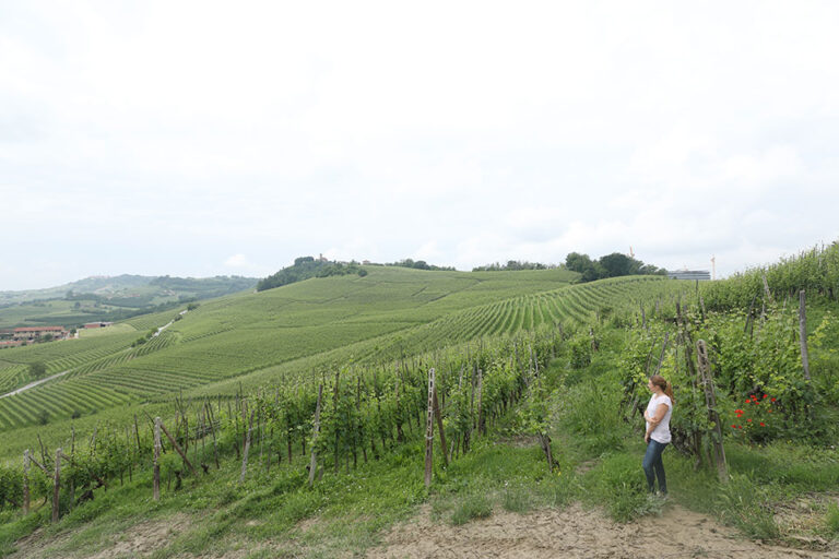 Monvigliero gran cru del comune di Verduno