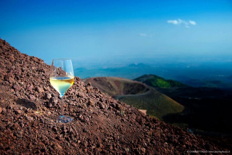 Volcanic Wines