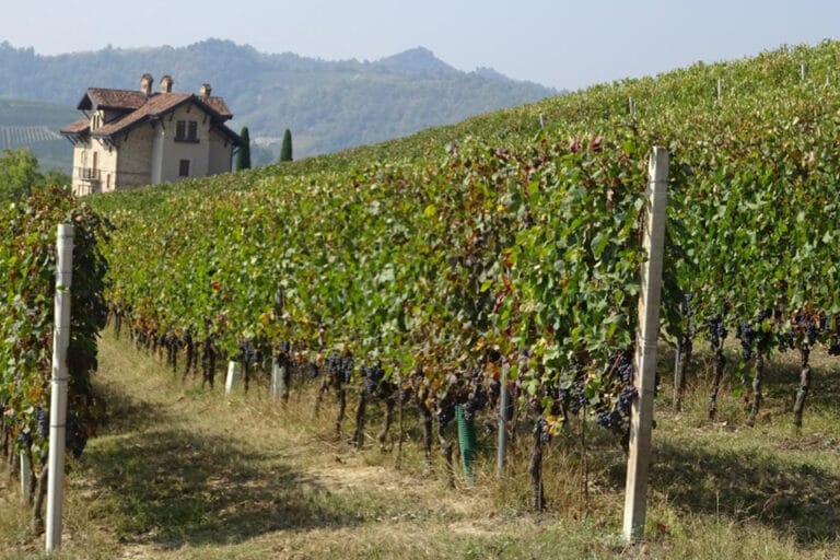 Bric Paradiso Roero DOCG Riserva 2013: la memoria del mare